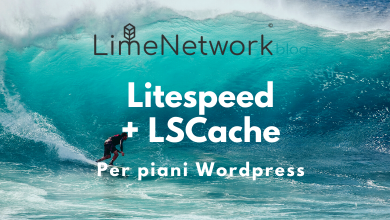 Litespeed LSCache Wordpress